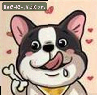 孙婷